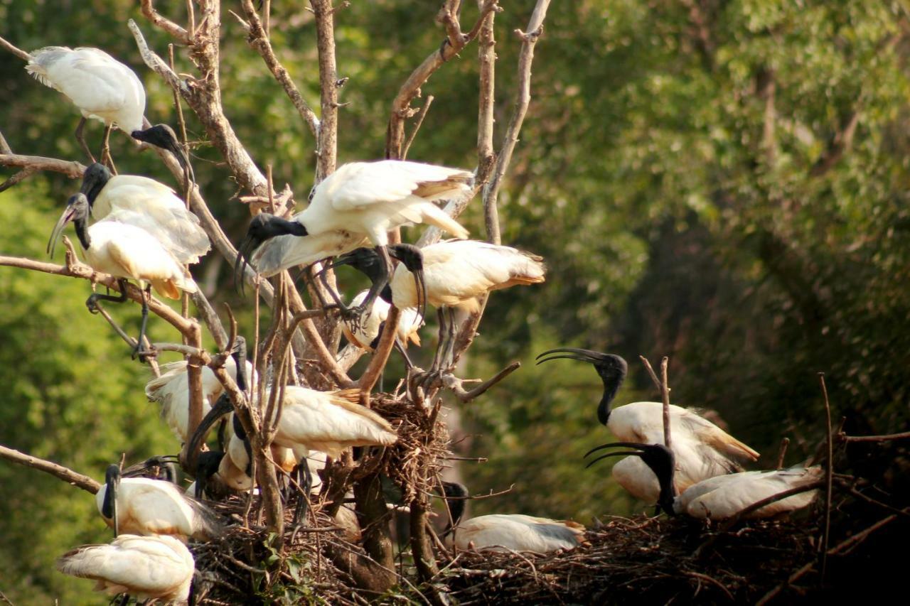 Wasgamu Safari Lodge Wasgamuwa Экстерьер фото