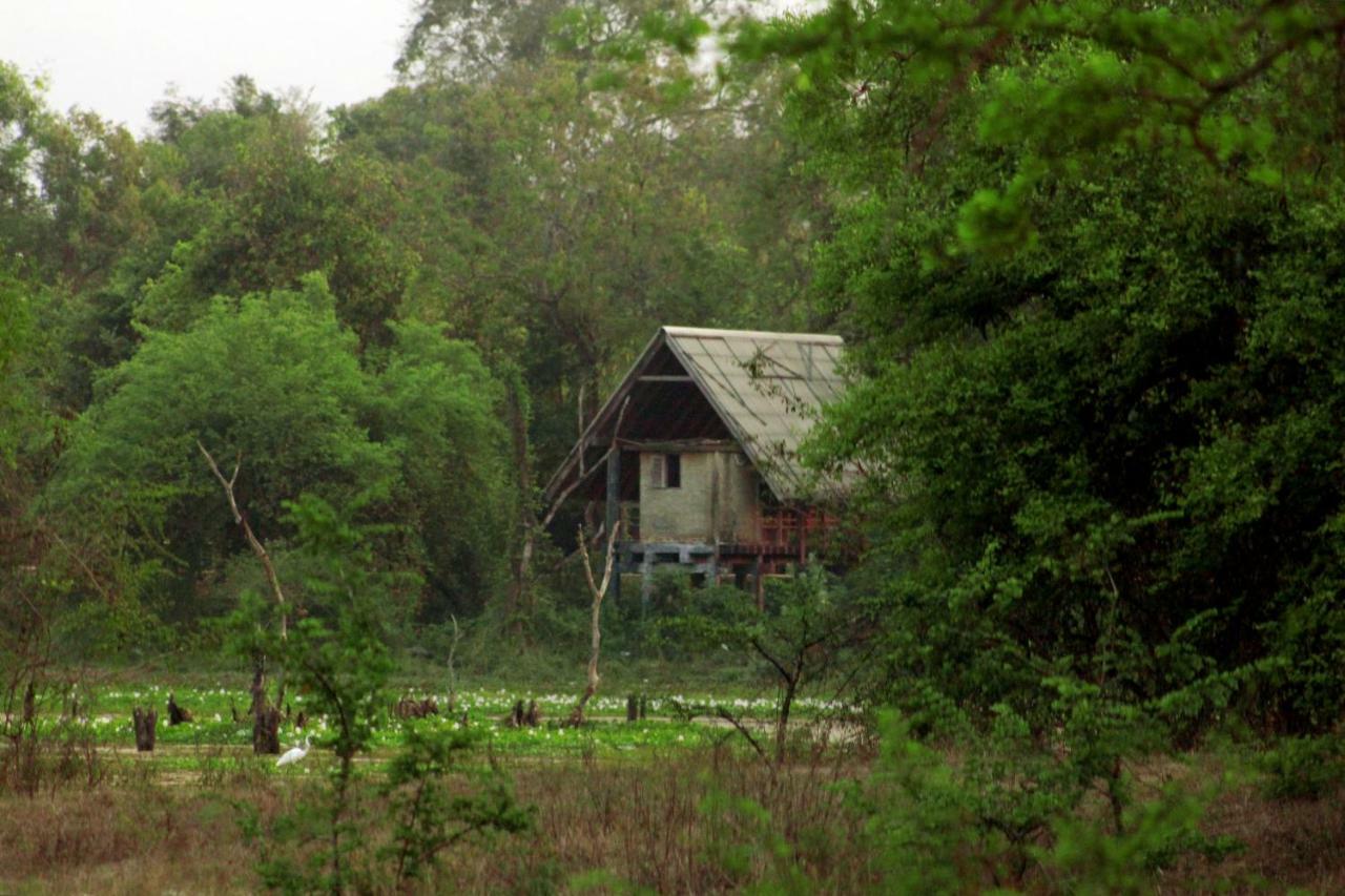 Wasgamu Safari Lodge Wasgamuwa Экстерьер фото