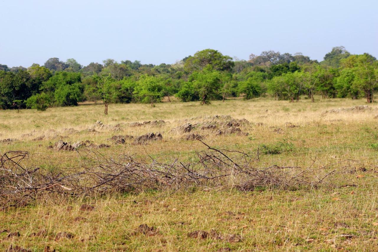 Wasgamu Safari Lodge Wasgamuwa Экстерьер фото